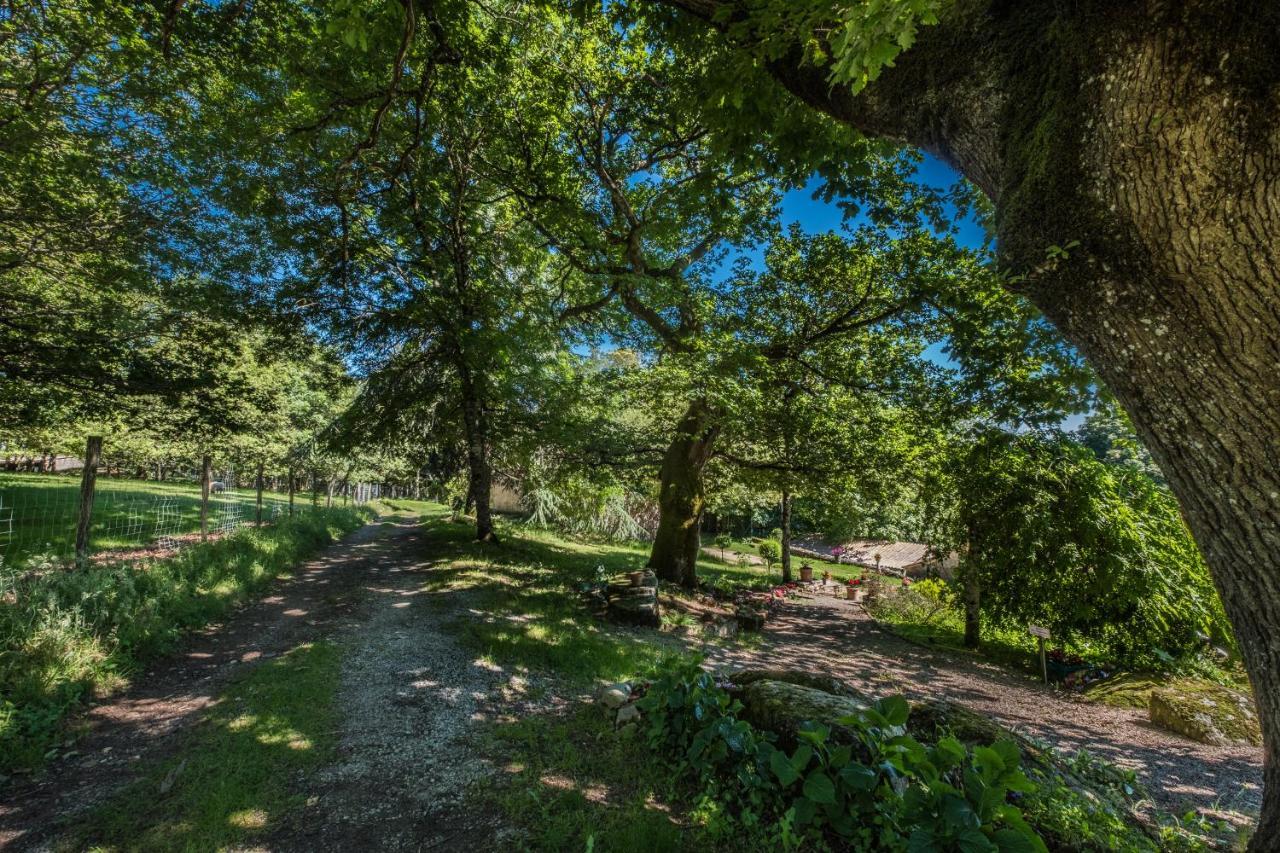 Domaine De Malouzies Hotell Fonties-Cabardès Exteriör bild