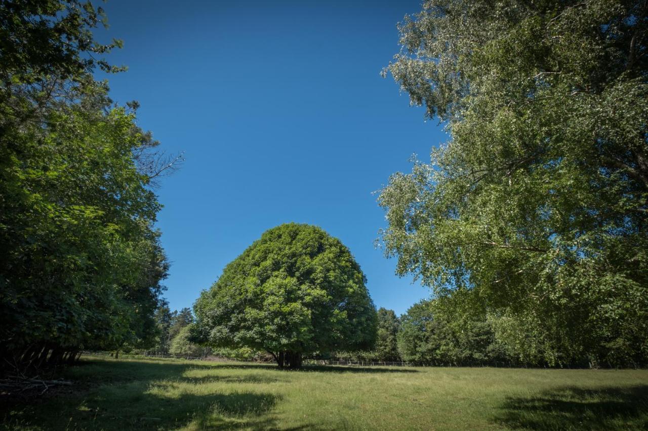 Domaine De Malouzies Hotell Fonties-Cabardès Exteriör bild